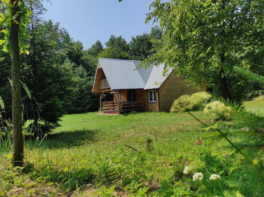 Domek w lesie Czerce Zewnętrze zdjęcie